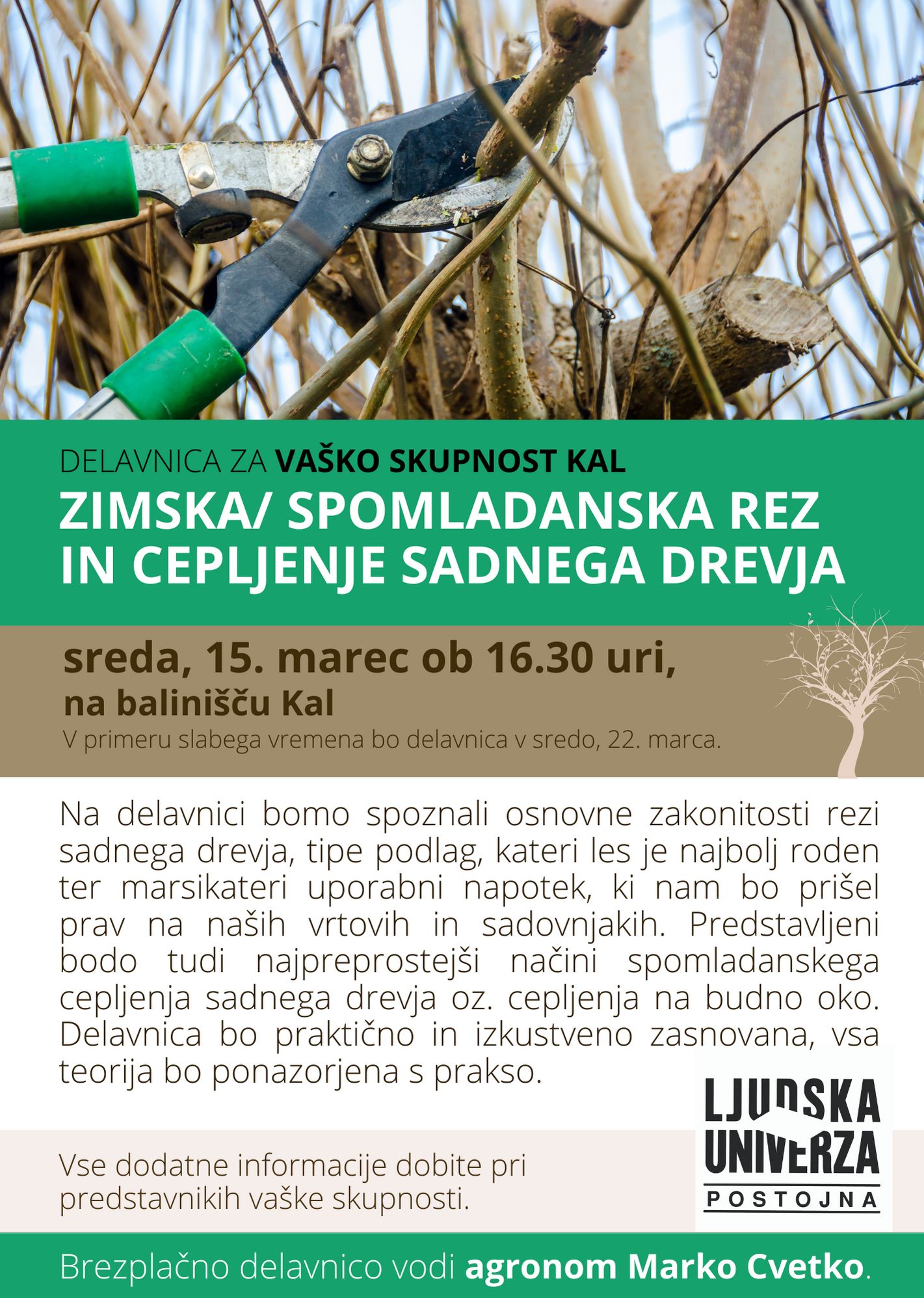 Zimska in spomladanska rez sadnega drevja